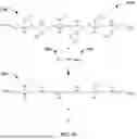 Fig. 11 - PARTIALLY DEACYLATED POLY(2-ETHYL-2-OXAZOLINE) ANTIPATHOGEN APPARATUS AND METHOD OF USE THEREOF