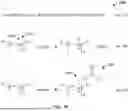 Fig. 19 - PARTIALLY DEACYLATED POLY(2-ETHYL-2-OXAZOLINE) ANTIPATHOGEN APPARATUS AND METHOD OF USE THEREOF