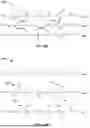 Fig. 41 - PARTIALLY DEACYLATED POLY(2-ETHYL-2-OXAZOLINE) ANTIPATHOGEN APPARATUS AND METHOD OF USE THEREOF