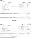 Fig. 55 - PARTIALLY DEACYLATED POLY(2-ETHYL-2-OXAZOLINE) ANTIPATHOGEN APPARATUS AND METHOD OF USE THEREOF
