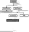 Fig. 03 - TASTE OF CONSUMABLES