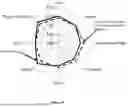 Fig. 28 - TASTE OF CONSUMABLES