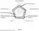 Fig. 29 - TASTE OF CONSUMABLES