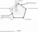 Fig. 34 - TASTE OF CONSUMABLES