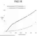 Fig. 19 - FOOD COMPOSITION AND METHOD FOR PRODUCING FOOD COMPOSITION