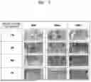 Fig. 04 - METHOD FOR MANUFACTURING PERSONALIZED NUTRITIONAL COMPOSITION WITH PRECISELY CONTROLLED NUTRIENT CONTENT VIA EMBEDDED 3D PRINTING