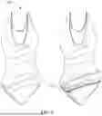 Fig. 04 - BATHING SUIT HAVING CLOSEABLE PANEL IN A LOWER PORTION