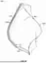Fig. 17 - GARMENT AND POCKET FOR CONTAINING FRINGES