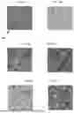 Fig. 07 - MILITARY SUIT CAMOUFLAGE PATTERN FORMING METHOD