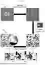 Fig. 09 - MILITARY SUIT CAMOUFLAGE PATTERN FORMING METHOD