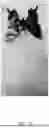 Fig. 17 - ROTATING HEADWEAR ORNAMENT