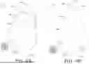 Fig. 06 - ARTICLE OF FOOTWEAR WITH MULTIPLE LAYERS AND METHOD OF MANUFACTURING THE SAME