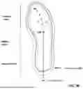 Fig. 05 - GOLF SHOE WITH TRACTION ELEMENTS