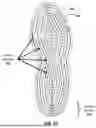 Fig. 10 - GOLF SHOE WITH TRACTION ELEMENTS