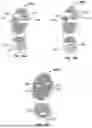 Fig. 09 - Tripod Running Shoes