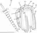 Fig. 01 - Decorative Umbrella and Backpack Device