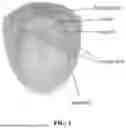 Fig. 02 - NAIL CARE METHOD USING NAIL BIT WITHOUT USING NIPPER