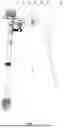 Fig. 02 - WATER EXCHANGER