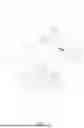 Fig. 04 - Butterfly Hinge