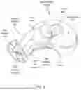 Fig. 04 - Breastfeeding Pillow