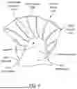 Fig. 07 - Breastfeeding Pillow