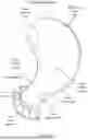 Fig. 09 - Breastfeeding Pillow