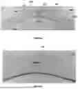 Fig. 09 - GARMENT HANGER WITH A ROTATABLE HOOK