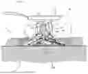 Fig. 11 - Campfire Cooking Assembly