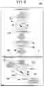 Fig. 07 - MEDICAL SUPPORT DEVICE, ENDOSCOPE, MEDICAL SUPPORT METHOD, AND PROGRAM