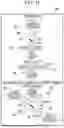 Fig. 12 - MEDICAL SUPPORT DEVICE, ENDOSCOPE, MEDICAL SUPPORT METHOD, AND PROGRAM