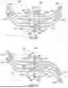 Fig. 06 - MEDICAL SYSTEMS AND DEVICES FOR CONTROLLING A DIRECTION OF FLUID FLOW
