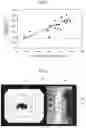 Fig. 10 - MEDICAL DEVICE, ENDOSCOPE SYSTEM, CONTROL METHOD, AND COMPUTER-READABLE RECORDING MEDIUM