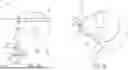 Fig. 02 - SYSTEM FOR STABILIZED NONINVASIVE IMAGING OF MICROVASCULATURE IN THE ORAL MUCOSA