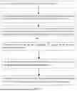 Fig. 02 - MONITORING METHOD AND SYSTEM FOR EYEBALL EMMETROPIZATION PROCESS