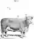 Fig. 06 - METHOD AND SYSTEM FOR DETECTING LIVESTOCK RESPIRATORY COMPROMISE