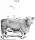 Fig. 09 - METHOD AND SYSTEM FOR DETECTING LIVESTOCK RESPIRATORY COMPROMISE