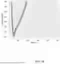 Fig. 19 - NOVEL COMPONENTS FOR A HEMODYNAMIC ANALYSIS TOOL