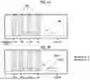 Fig. 09 - MAGNETIC RESONANCE IMAGING APPARATUS AND DISPLAY METHOD FOR PRESENTING SCAN INFORMATION AND BODY MOVEMENT INFORMATION TO USER