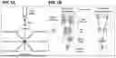 Fig. 02 - Motion Capture and Biomechanical Assessment of Goal-Directed Movements
