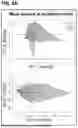 Fig. 04 - Motion Capture and Biomechanical Assessment of Goal-Directed Movements