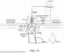 Fig. 20 - OPTICAL SPECTROSCOPY WITH CONTROLLED PATH LENGTH FOR NON-INVASIVE MEASUREMENT THROUGH SKIN