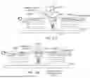 Fig. 28 - OPTICAL SPECTROSCOPY WITH CONTROLLED PATH LENGTH FOR NON-INVASIVE MEASUREMENT THROUGH SKIN