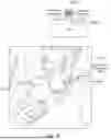 Fig. 31 - OPTICAL SPECTROSCOPY WITH CONTROLLED PATH LENGTH FOR NON-INVASIVE MEASUREMENT THROUGH SKIN