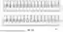 Fig. 25 - Oximeter with Measurement Quality Reporting