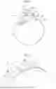 Fig. 05 - CT APPARATUS AND CONTROL METHOD FOR CT APPARATUS