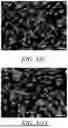 Fig. 108 - STRETCHABLE ULTRASONIC TRANSDUCER DEVICES