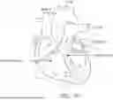 Fig. 110 - STRETCHABLE ULTRASONIC TRANSDUCER DEVICES