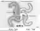 Fig. 131 - STRETCHABLE ULTRASONIC TRANSDUCER DEVICES