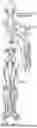 Fig. 80 - STRETCHABLE ULTRASONIC TRANSDUCER DEVICES
