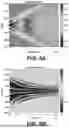 Fig. 05 - ESTIMATION OF VISCOELASTICITY OF ARTERIAL OR VENOUS WALL